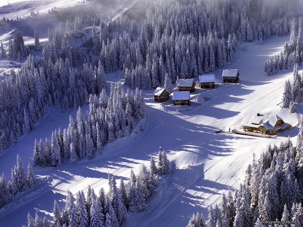 Moselebaueralm Villa Klippitztorl Rum bild