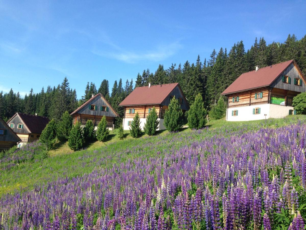 Moselebaueralm Villa Klippitztorl Exteriör bild